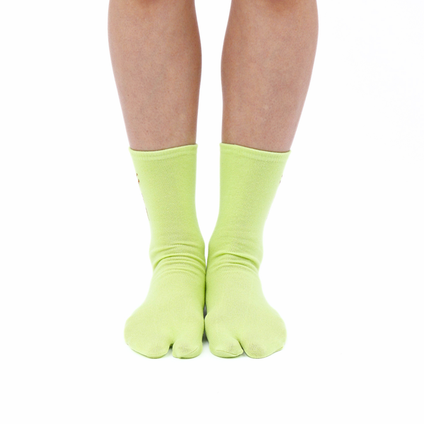 NARA TABI / Pixel Shika