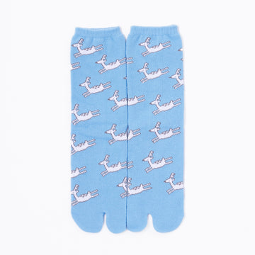 Front view of long blue Tabi Socks " Shika Hashiru "