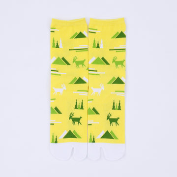 Front view of long yellow Tabi Socks " Mikasayama "
