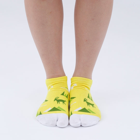 Person wearing short yellow Tabi Socks " Mikasayama ", front view