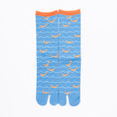 Front view of long light blue Tabi Socks " Shirasu "