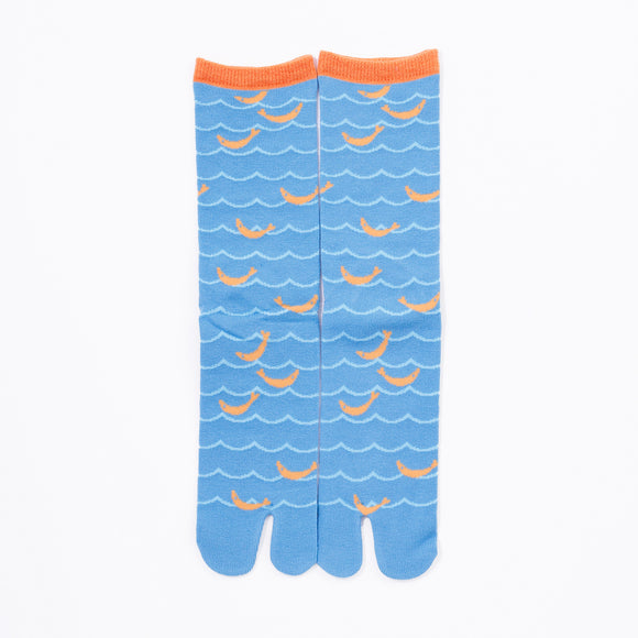 Front view of long light blue Tabi Socks " Shirasu "