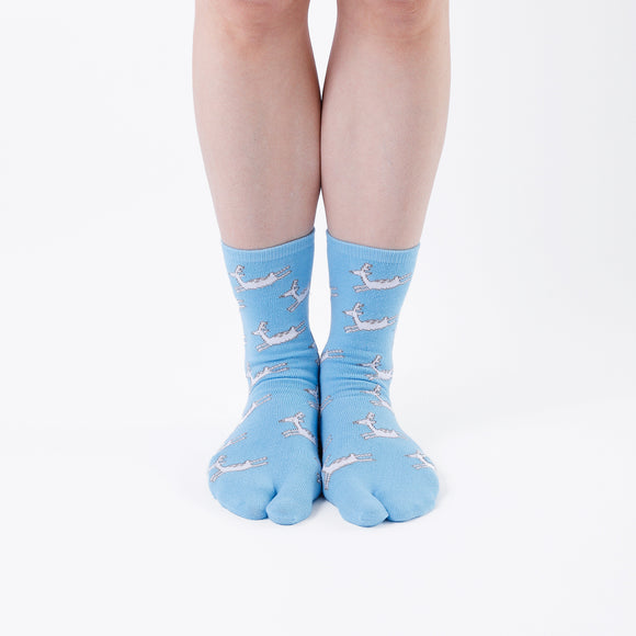 Person wearing long blue Tabi Socks " Shika Hashiru ", front view
