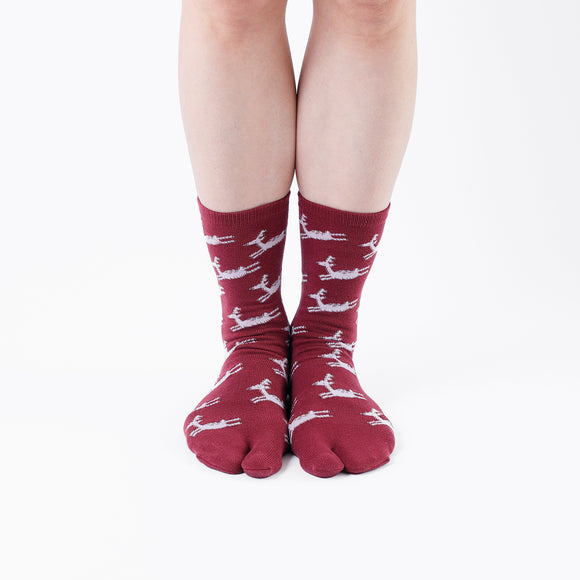 Person wearing long red Tabi Socks " Shika Hashiru ", front view